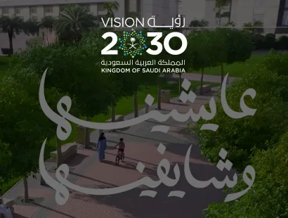 SMO Vision 2030