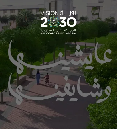 SMO — Vision 2030 key visual